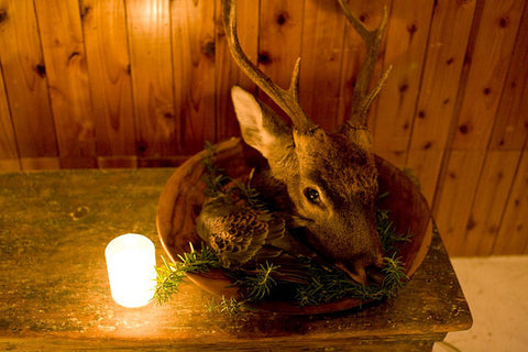 Deer Head