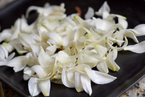 The Hopkins Buffet: Flor de Izote con Chorizo
