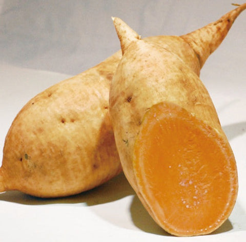 Houzan Jyosen Tama Akane Sweet Potato Shochu (BTL 720ml)